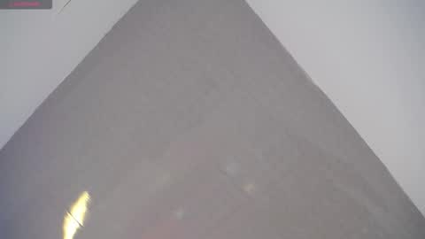 Snapshot of skinny_office chatting on February 2026 02:26:01 PM David online show from February 2026 02:26:01 PM