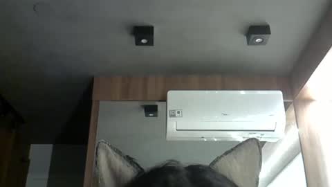 skinnykittencam online show from October 2025 01:39:01 AM