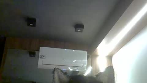 skinnykittencam online show from January 2026 12:32:01 PM