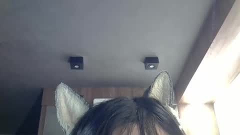 skinnykittencam online show from March 2026 09:42:02 PM