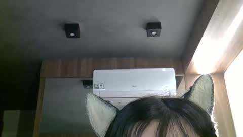 skinnykittencam online show from April 2026 03:31:02 PM