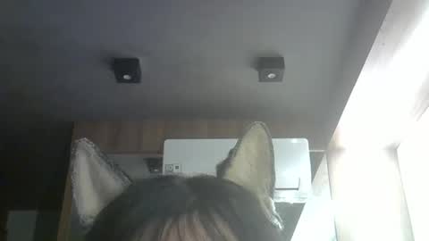 skinnykittencam online show from April 2026 06:54:02 PM