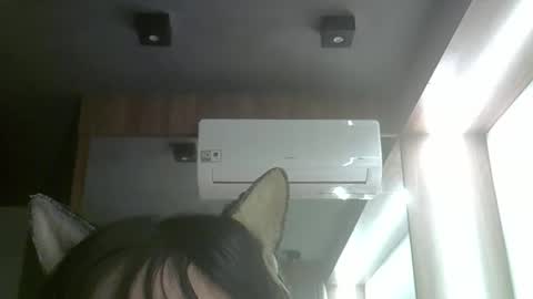 Snapshot of skinnykittencam chatting on June 2026 05:21:01 AM skinnykittencam online show from June 2026 05:21:01 AM