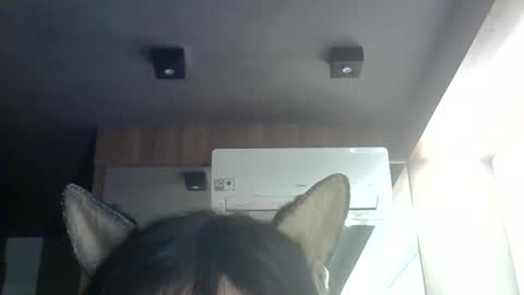 Snapshot of skinnykittencam chatting on June 2026 09:32:01 AM skinnykittencam online show from June 2026 09:32:01 AM
