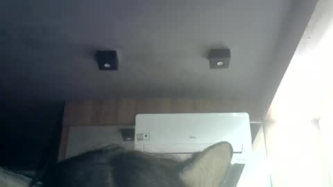 Snapshot of skinnykittencam chatting on June 2026 01:36:01 AM skinnykittencam online show from June 2026 01:36:01 AM