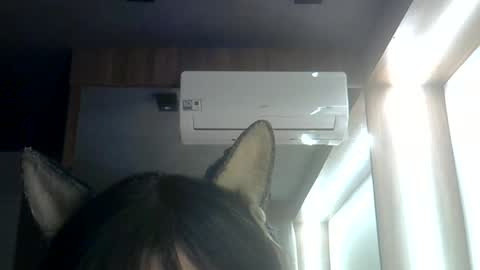 Snapshot of skinnykittencam chatting on June 2026 03:13:01 AM skinnykittencam online show from June 2026 03:13:01 AM