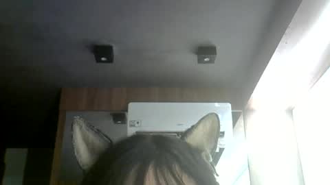 Snapshot of skinnykittencam chatting on June 2026 06:31:02 PM skinnykittencam online show from June 2026 06:31:02 PM