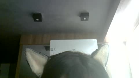 Snapshot of skinnykittencam chatting on July 2026 05:35:01 AM skinnykittencam online show from July 2026 05:35:01 AM