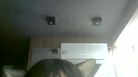 Snapshot of skinnykittencam chatting on July 2026 07:34:02 AM skinnykittencam online show from July 2026 07:34:02 AM