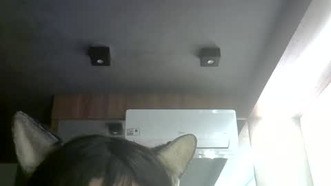 Snapshot of skinnykittencam chatting on July 2026 09:03:02 AM skinnykittencam online show from July 2026 09:03:02 AM