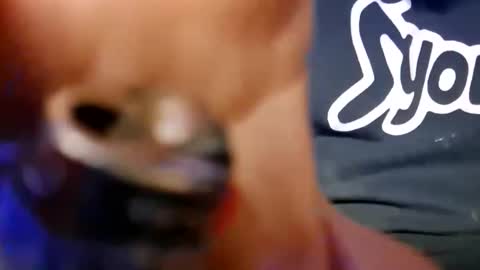 Snapshot of skunk8p chatting on January 2026 06:29:01 AM skunk8p online show from January 2026 06:29:01 AM