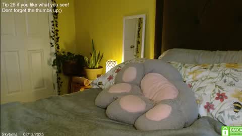 Snapshot of skybella_ chatting on February 2025 04:28:01 PM Skylar online show from February 2025 04:28:01 PM