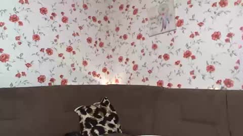 Sky online show from December 2024 01:00:01 PM