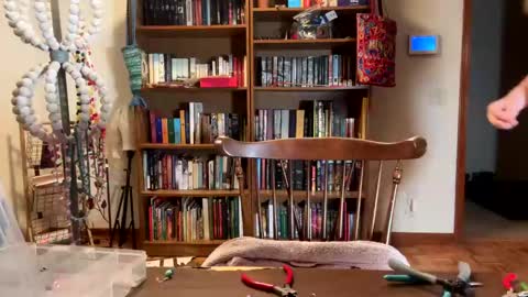 Sky Winters online show from February 2025 11:46:02 PM