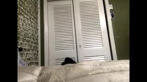 Snapshot of slangindopee chatting on January 2025 11:56:01 AM Slangindopee online show from January 2025 11:56:01 AM