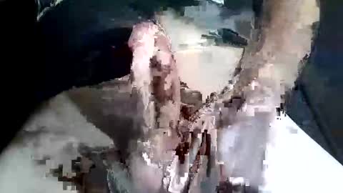 Z online show from November 2025 09:28:01 PM