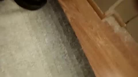 Snapshot of slickdog58 chatting on September 2025 07:47:01 PM slickdog58 online show from September 2025 07:47:01 PM