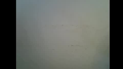Snapshot of slim_pearl chatting on September 2025 10:02:01 PM Teddy online show from September 2025 10:02:01 PM