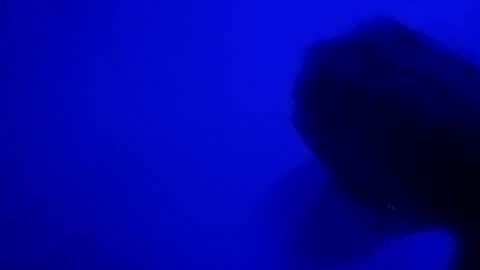 Snapshot of sluttyslut123797367 chatting on June 2026 10:32:01 AM Nastyguurl online show from June 2026 10:32:01 AM
