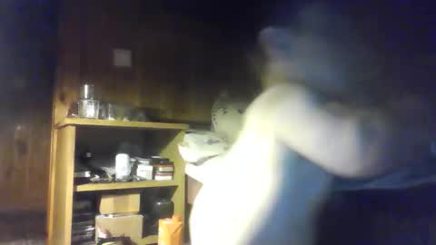 PIST PIST online show from October 2025 06:28:02 PM