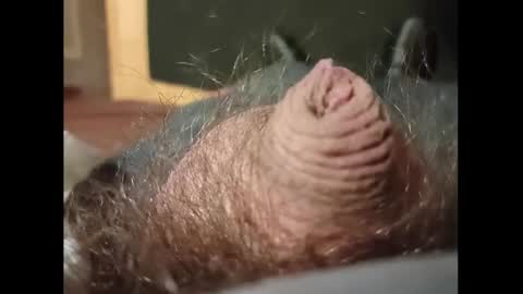 Small Hairy Uncut online show from January 2025 03:37:01 AM