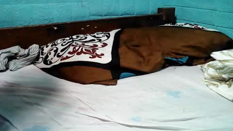 jess online show from February 2025 04:37:02 AM