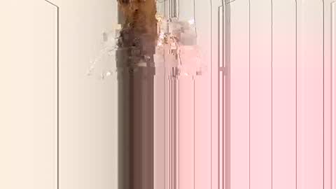 Snapshot of smilehiguy chatting on January 2025 04:33:01 AM smilehiguy online show from January 2025 04:33:01 AM