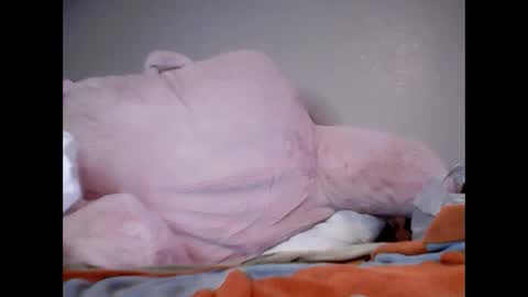 Snapshot of smolgothwitch chatting on February 2025 09:28:01 AM SmolHungGothWitch online show from February 2025 09:28:01 AM