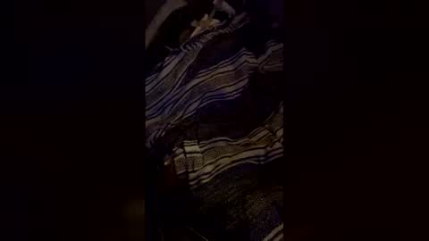 snizniz online show from May 2026 07:38:01 AM