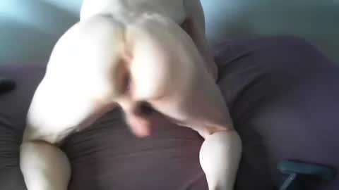 Snapshot of snoro111 chatting on May 2026 11:08:02 AM snoro111 online show from May 2026 11:08:02 AM