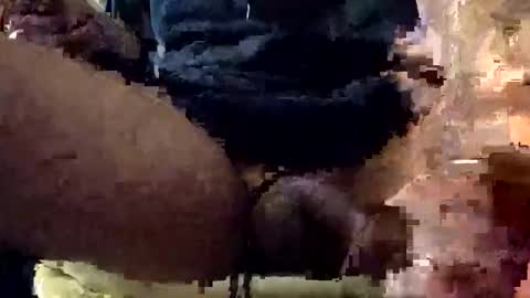 Lets play n party online show from January 2026 07:55:01 AM