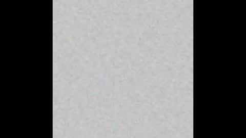 snowflakec online show from March 2025 08:31:02 PM