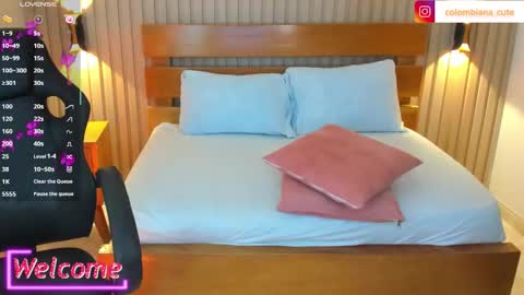 Snapshot of soffia_modre chatting on February 2026 06:40:02 AM Help me achieve 100 thumbs up online show from February 2026 06:40:02 AM