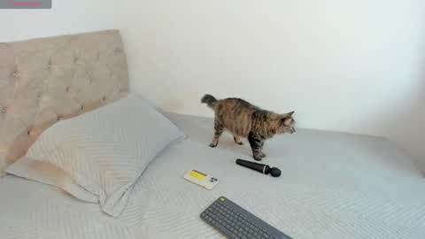 Snapshot of sofi_martinezz1 chatting on April 2026 05:52:01 AM sofi_martinezz1 online show from April 2026 05:52:01 AM