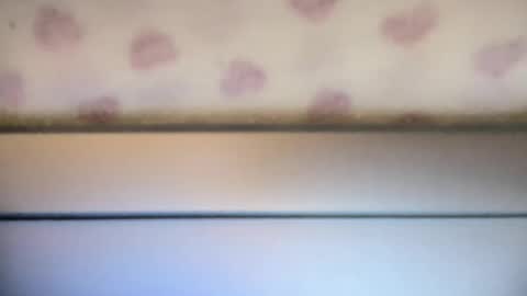 sofia8428 online show from September 2025 10:01:02 PM