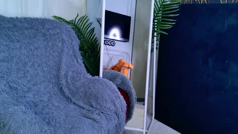 Sofia online show from April 2026 05:52:01 AM