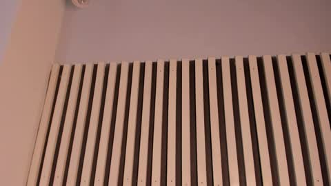 Sofie online show from November 2025 02:39:01 PM