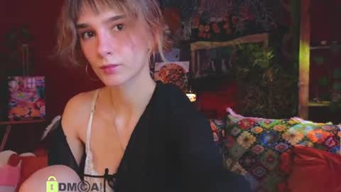 E online show from July 2026 11:53:01 AM