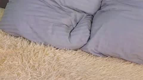 Milisa online show from March 2025 06:19:01 PM