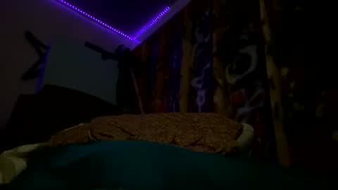 sohan730903 online show from February 2026 07:51:01 AM