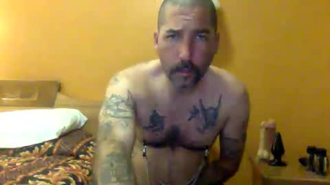 Snapshot of sontoddy chatting on December 2024 03:51:02 AM Ryan online show from December 2024 03:51:02 AM