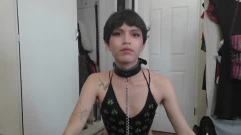 soophiebby online show from June 2026 02:21:02 PM