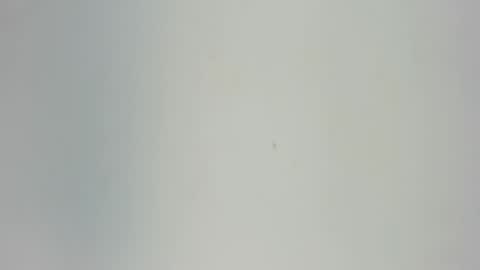 Snapshot of sophia_ebony___ chatting on May 2026 12:12:02 PM sophia_ebony___ online show from May 2026 12:12:02 PM