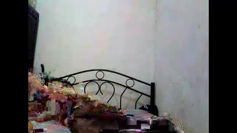 sophialaurel online show from October 2025 06:52:01 AM