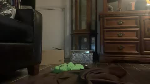 Snapshot of southernblueyes chatting on April 2026 08:13:02 PM Southernblueyes online show from April 2026 08:13:02 PM