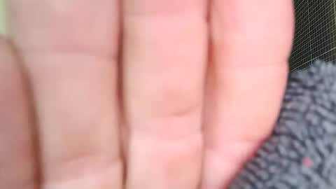 Snapshot of sowbilbao1 chatting on April 2026 01:19:01 PM sowbilbao1 online show from April 2026 01:19:01 PM