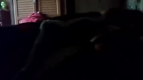 Snapshot of spaceandfresh chatting on August 2026 01:14:01 PM spaceandfresh online show from August 2026 01:14:01 PM