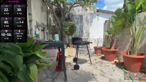 spanish gym online show from May 2026 10:56:02 AM