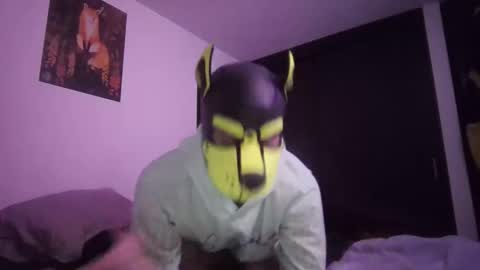 SPARK online show from February 2026 05:22:02 AM