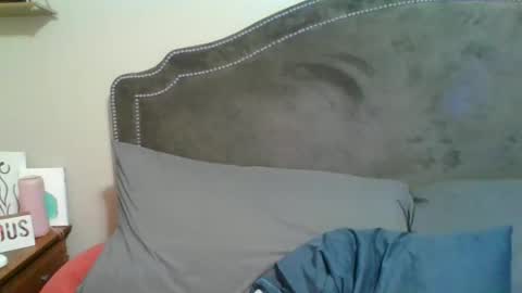 Snapshot of sparklelove69 chatting on November 2025 05:11:01 AM Scottietee online show from November 2025 05:11:01 AM